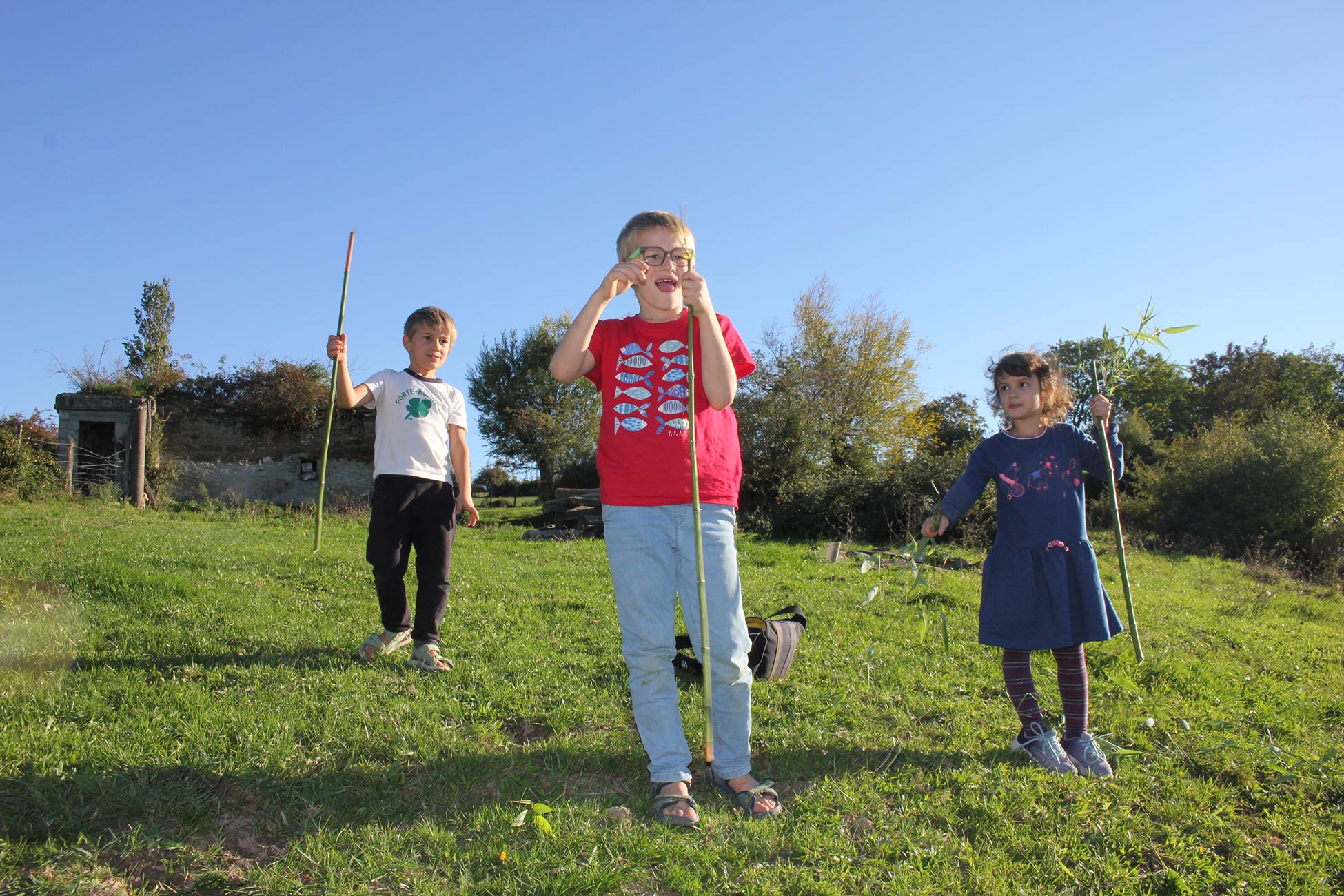 tresors-du-chene-pedagogie-par-la-nature
